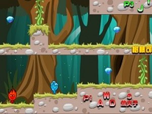 FireBoy And WaterGirl Amazon Adventure Online Game - Puzzle Adventure Game