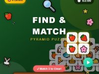 Find and Match Puzzle Game