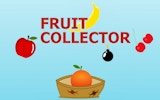 Fruit Collector Online Game - Catch the Fruits Arcade Challenge Arcade Game