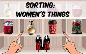 Sorting: Women's Things Puzzle Game Online Puzzle Game
